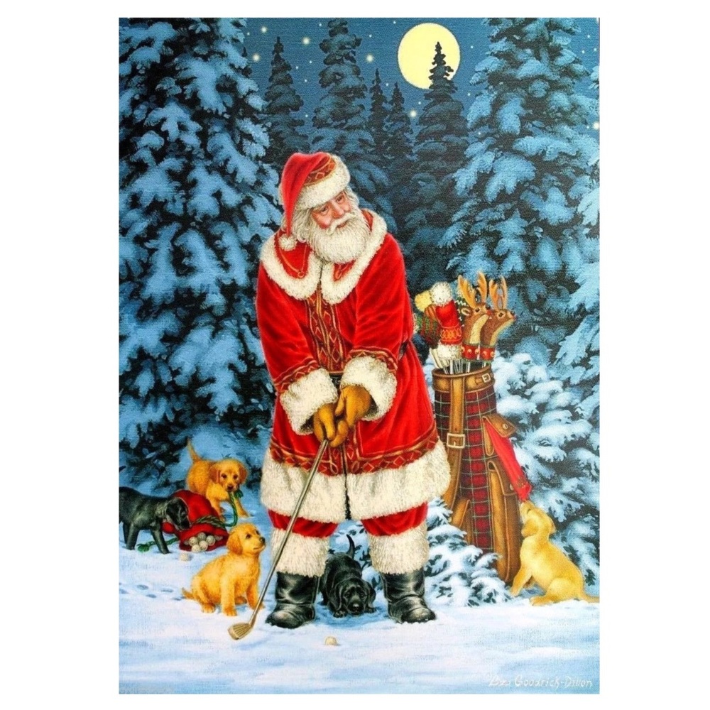 LPG Greetings Santa Snow Golfing Cards & Embossed Envelopes, Box of 18 (52550)